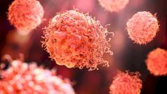 метаболизм раковых опухолей более медленный, чем считалось