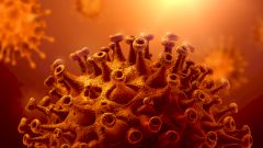 Вирусолог рассказал о действии вакцин на южноафриканский штамм COVID-19