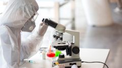 Новосибирские учёные предложили новый способ массовой диагностики коронавируса