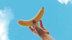 Все или почти все о бананах