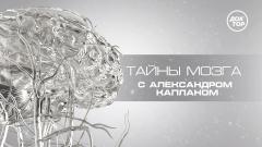 «Тайны мозга» на телеканале «Доктор»: что на самом деле происходит у нас в голове?