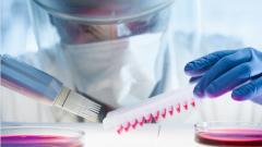 Учёные смоделировали, как развивалась бы пандемия коронавируса без карантина