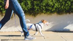 Любители быстрой ходьбы живут дольше медлительных людей: исследование