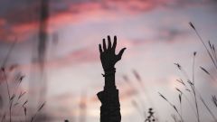 Находки Доктора: любовь победила кому