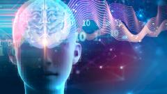 мозг, сон, память