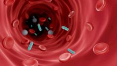 Найдено смертоносное «послание», которое отправляют умирающие от сепсиса клетки