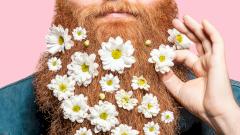 Кто живет в бороде?