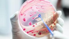 Изобретён антибиотик, к которому бактерии не способны подстроиться