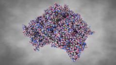 Вирус, заражающий большинство людей в мире, вызывает волчанку