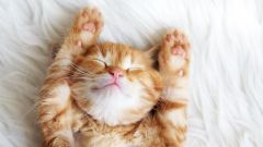 Победим бессонницу вместе!