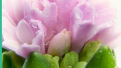 7 способов победить весеннюю депрессию