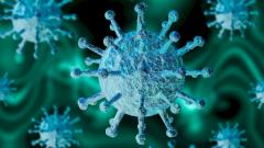 Дешевую вакцину от коронавируса могут создать в России за три месяца