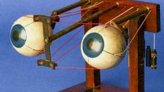 Находки Доктора