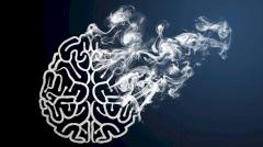 Ежедневное курение уменьшает мозг: новое исследование