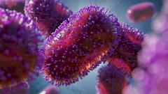 Новый смертельный штамм: в Африке зафиксирована эпидемия оспы обезьян