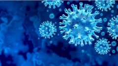 Обнаружено соединение, которое блокирует репликацию коронавируса