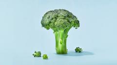 Ученые поняли, как получить максимум пользы от брокколи