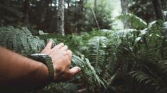 Болезни туристов